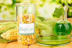 Hockworthy biofuel availability